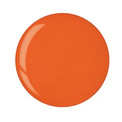 Powder Polish - Carrot Orange
